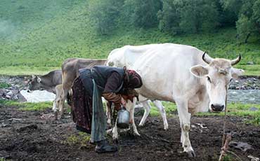 天潤(rùn)新東制冷罐出口印度 實(shí)現(xiàn)南亞乳業(yè)"冷"突破