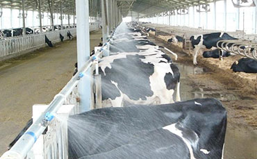 濰坊制冷罐客戶與我司達(dá)成豬血冷藏罐采購(gòu)意向